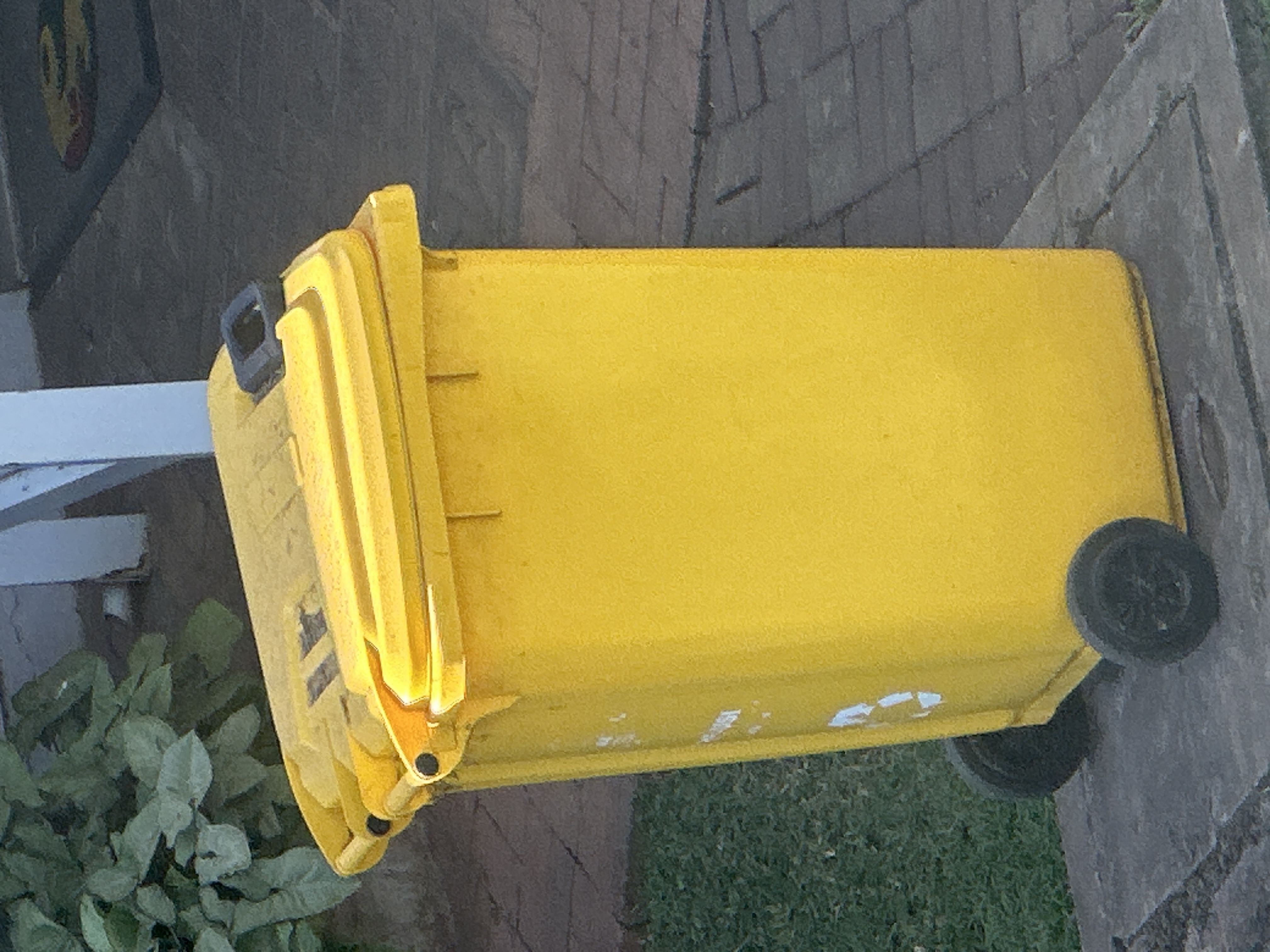 Photo of the reported issue